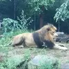 Tom Hedges - @tom.hedges7 - TikTok