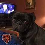 Tom Helm - @thelm1093 - Instagram