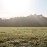 Tom Helm - @tom.helm.5 - Instagram