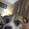 tomhelms465 - @tomhelms465 - TikTok