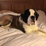 Tom Helsel - @helsel.tom - Instagram