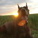 @tomhelsel66666 - Instagram