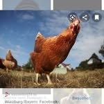 Tom Hempel - @tom.hempel.395 - Instagram