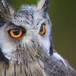 Tom Hempel - @hempel.tom - Instagram