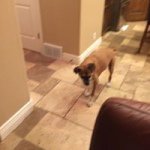 Tom Heneghan - @theneghan44 - Instagram
