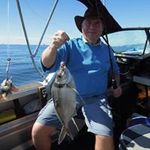 Tom Henson - @tom_henson_50 - Instagram