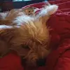 tomhenson013 - @tomhenson013 - TikTok