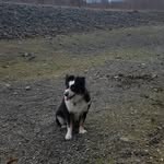 Tom Herber - @herber.tom - Instagram