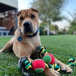 Tom Hernández - @tomelsharpei - Instagram