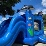 Tom Hines - @incredible_bouncellc - Instagram