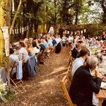 Tom Hinton - @thinto - Instagram