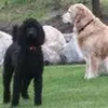 Tom Hinton - @tom.hinton52 - TikTok