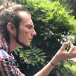 Tom Whittle - @tom.whittle.39 - Instagram