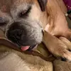 tom.hoban - @tom.hoban - TikTok