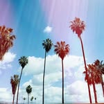 Tom Holly - @tomholly68 - Instagram