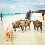 Tom Hollyday - @tomholly - Instagram