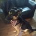 Tom Holt - Facebook