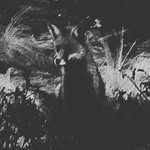 Tom Hook - @hookxs1 - Instagram