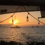 Tom Hook - @companion.4.you - Instagram