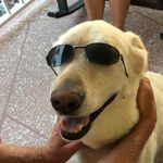 tomhooker - @tomhooker - Instagram