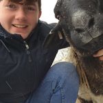 Tom Howells - @toms_tantrums - Instagram