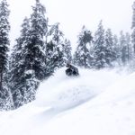 Tom Howie - @tomhowie3 - Instagram