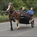 Tom Hoyle - Facebook