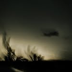 @tomhoy_ - Instagram