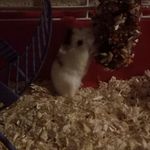 TOM HUDAK - @tom_je_bob - Instagram