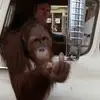 tomhugo57 - @tomhugo57 - TikTok