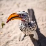 Tom.hugo - @tom.hugo.br - Instagram