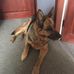 Tom Hume - Facebook
