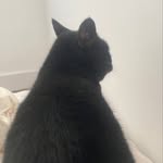 @tom__humphreys - Instagram