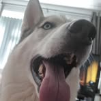 Tom Hunt - Facebook