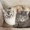 Tom Hurt - @tom.hurt2 - TikTok