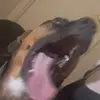 tom.hurts - @tom.hurts - TikTok