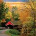 Tom Hutt - Facebook