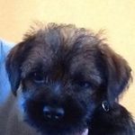 Tom Hutt - @hutt.tom - Instagram