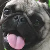 tom hynes218 - @tombooop - TikTok