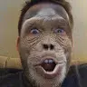 Tom Hynes - @tomhynes - TikTok