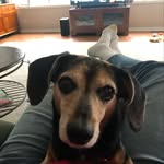 Tom Jansen - @tomjansen2426 - Instagram