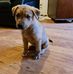 Tom Jarvis - Facebook