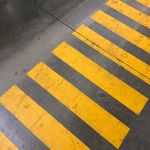 Tom Jarvis - @jarv.jarvis - Instagram