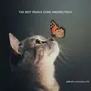 Tom joslin - @tom.joslin - TikTok