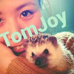 恵比寿美容室 TomJoy ✂︎tomo☺︎ - @tomjoy.hair - Instagram