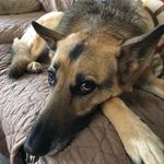 Tom Kaczmarek - @tkazwnc - Instagram