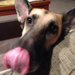 Tom Kaczmarek - @tkaznc - Instagram