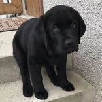 Tom Kaczmarek - @kaczmarek_tom - Instagram