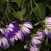 Thomas Kahler - Facebook