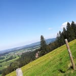 Tom Kaiser - @tomkaiser607 - Instagram